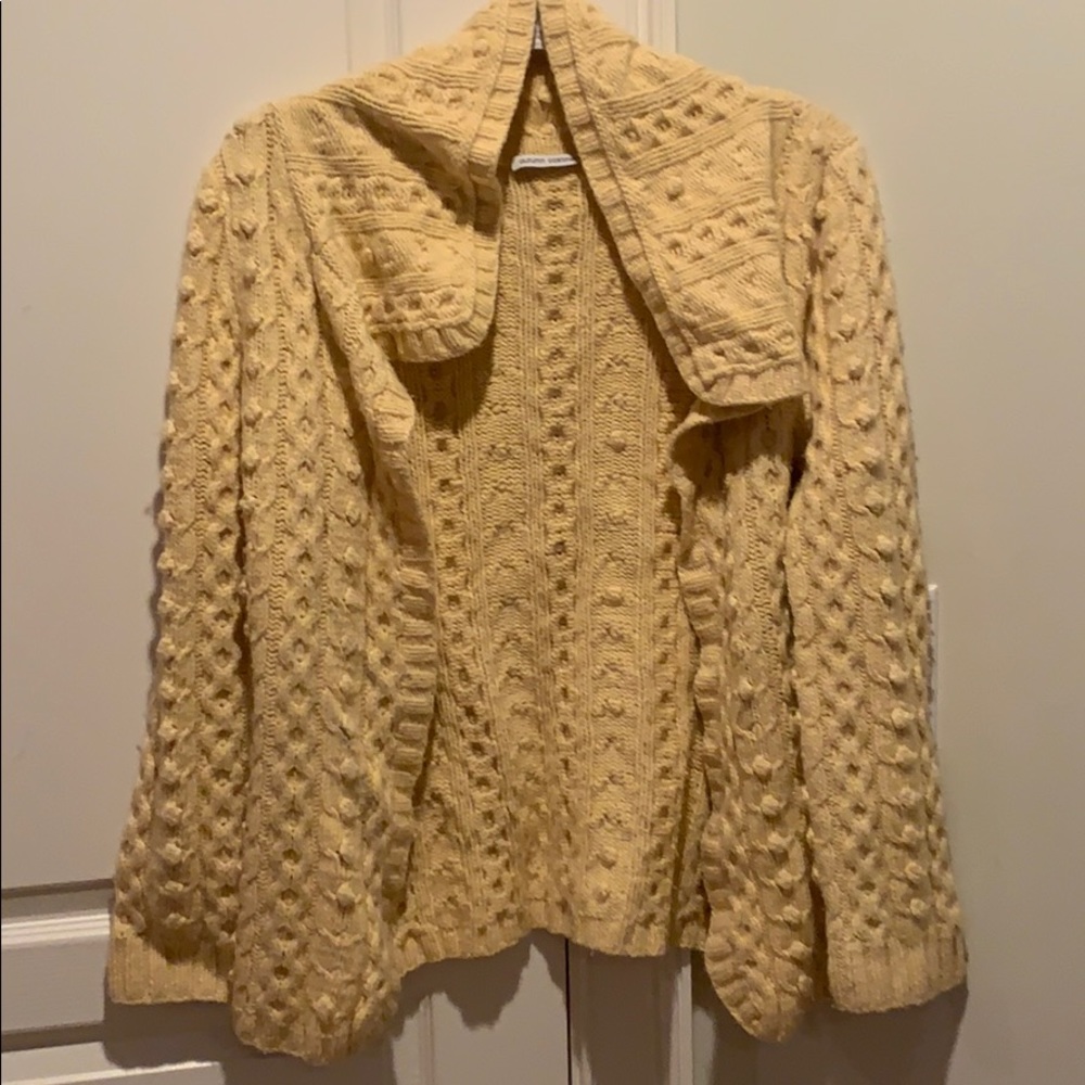 Autumn cashmere cardigan sweater.
